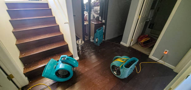 Best Residential water damage restoration  in Louisville, OH