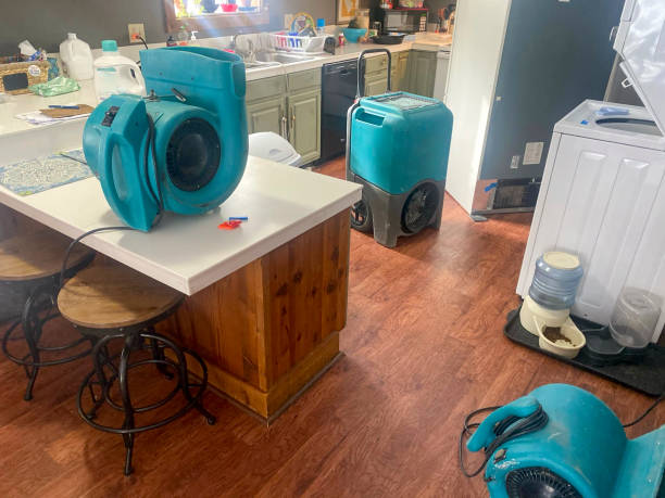 Best Water damage repair service  in Louisville, OH