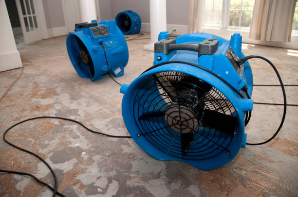 Best Water damage restoration near me  in Louisville, OH