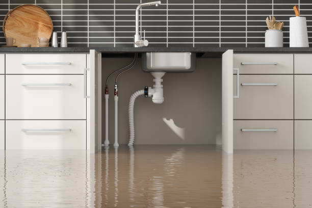 Best Water damage restoration specialists  in Louisville, OH