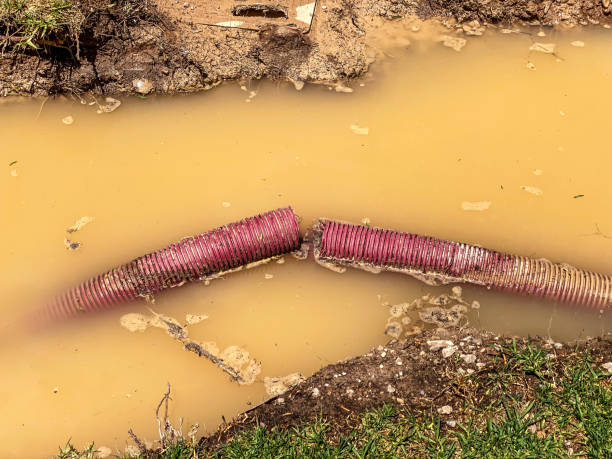 Best Basement water damage restoration  in Louisville, OH