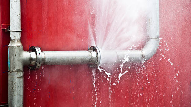 Best Carpet water damage restoration  in Louisville, OH