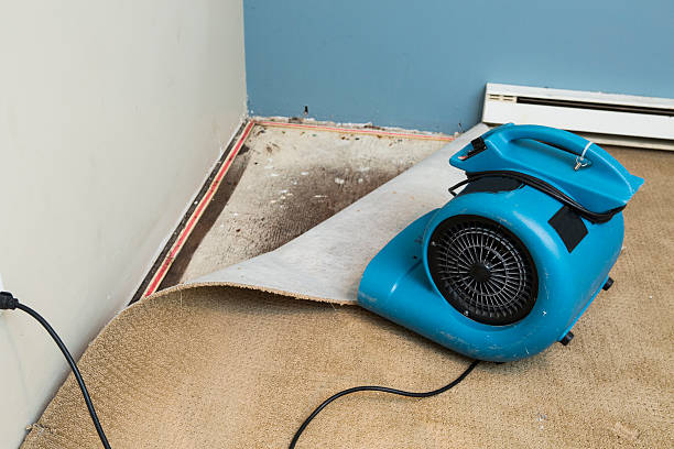  Louisville, OH Water damage restoration Pros