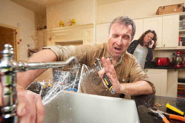 Best Water damage cleanup near me  in Louisville, OH